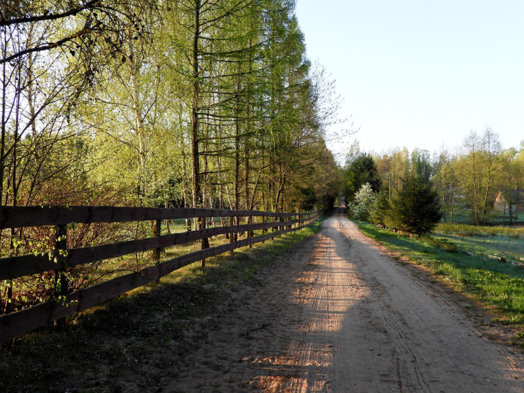 Park Krajobrazowy Puszczy Knyszyńskiej – dzika natura na wyciągnięcie ręki