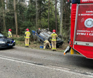 Dachowanie policyjnego radiowozu na leśnej trasie. Mundurowi omijali zwierzę