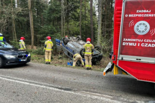 Dachowanie policyjnego radiowozu na leśnej trasie. Mundurowi omijali zwierzę