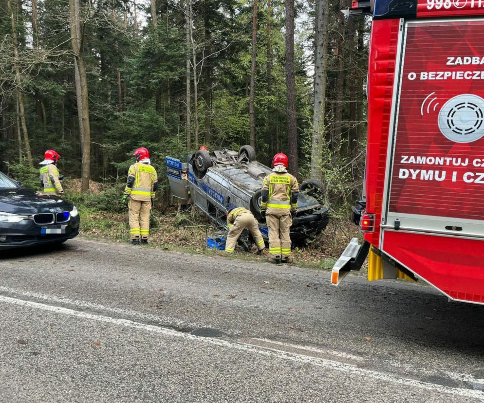 Dachowanie oznakowanego radiowozu na trasie. Policjant chciał uniknąć zderzenia z sarną