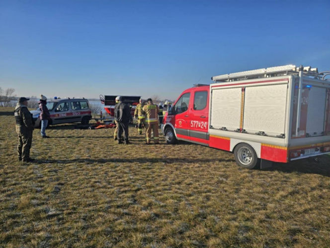 Makabryczny widok nad jeziorem! 50 martwych łabędzi. Wiadomo, co je zabiło