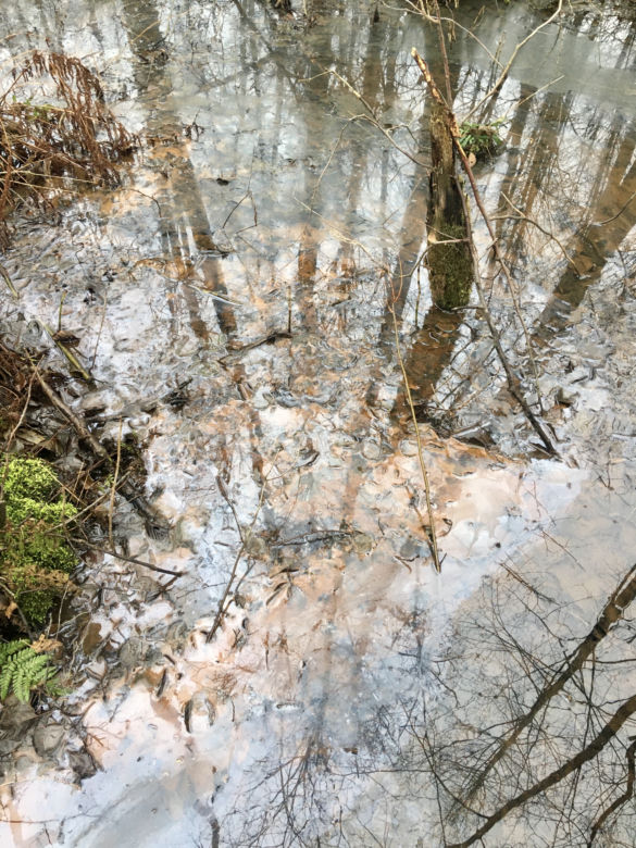 Rezerwaty Na Torfach i Bagno Całowanie