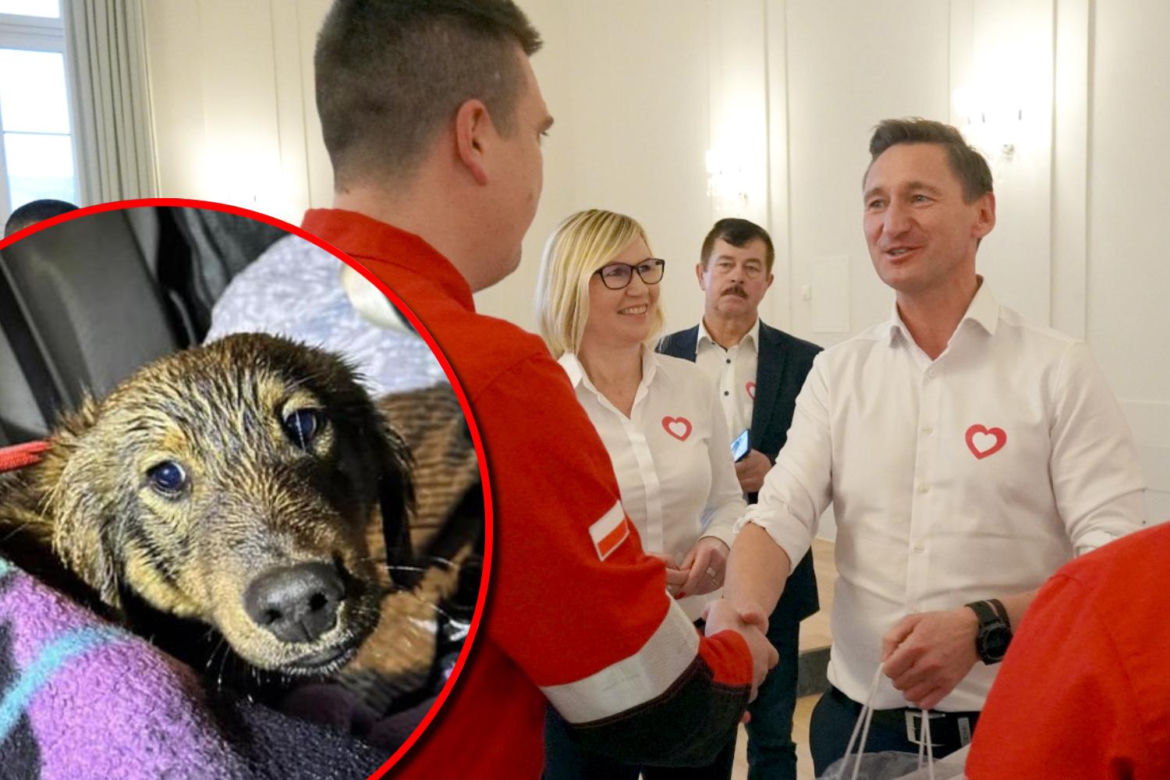 Ratownicy z Kołobrzegu otrzymali gratulacje za uratowanie Rysia