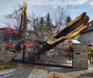 Nowy Sącz. Ciężarówka uderzyła w drzewo i zwaliła je na prywatną posesję. Jedna osoba poszkodowana