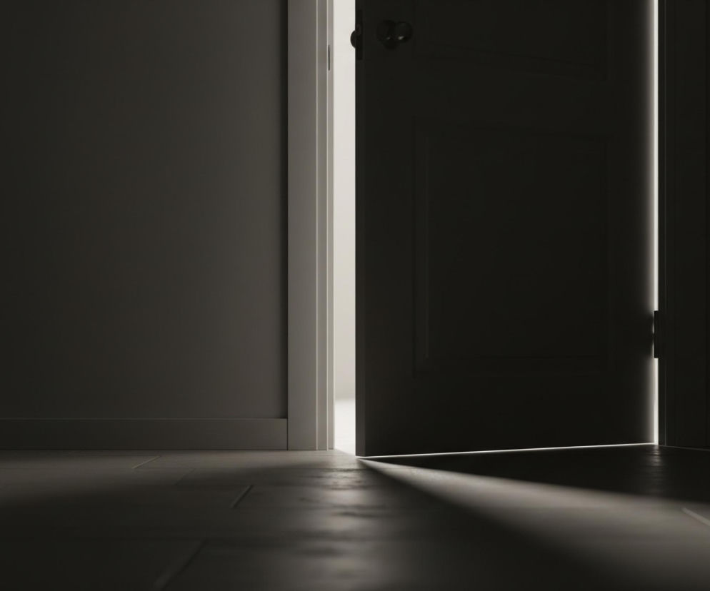 Ciemne pomieszczenie z otwartymi drzwiami ukazuje jedynie wąską szczelinę światła w prawym pionie. Lewa ściana jest ciemnoszara, a podłoga składa się z ciemnych, prostokątnych paneli. Na podłodze widoczny jest smug światła, który wydobywa się spod uchylonych drzwi i rozchodzi się w głąb pomieszczenia. Górna część drzwi po prawej stronie ma widoczny ciemny uchwyt.