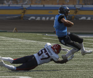 Futbol amerykański. Panthers Wrocław przegrali z Hamburg Sea Devils 23:26