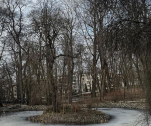 Jeden z najstarszych parków w Polsce budzi się do życia. Wiosna w Parku Saskim w Lublinie