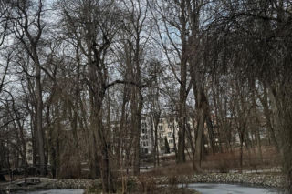 Jeden z najstarszych parków w Polsce budzi się do życia. Wiosna w Parku Saskim w Lublinie