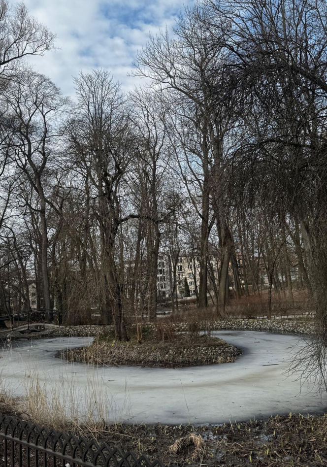 Jeden z najstarszych parków w Polsce budzi się do życia. Wiosna w Parku Saskim w Lublinie