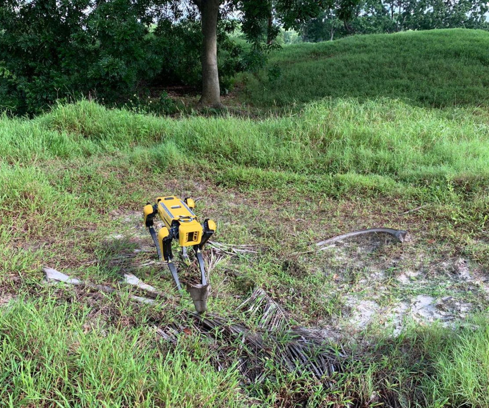 Robot Spot 