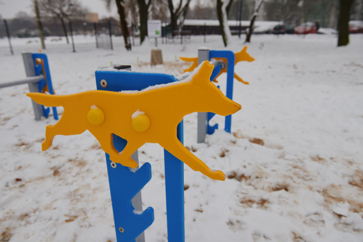 W parku Podolskim w Łodzi powstał nowy psi park