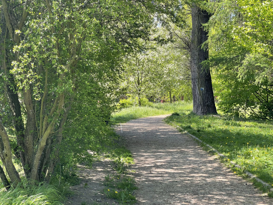 Kraków ma najdłuższy park w Polsce. Poznajcie Młynówkę Królewską! 