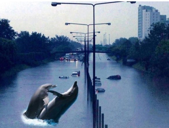 Zalana Warszawa - memy