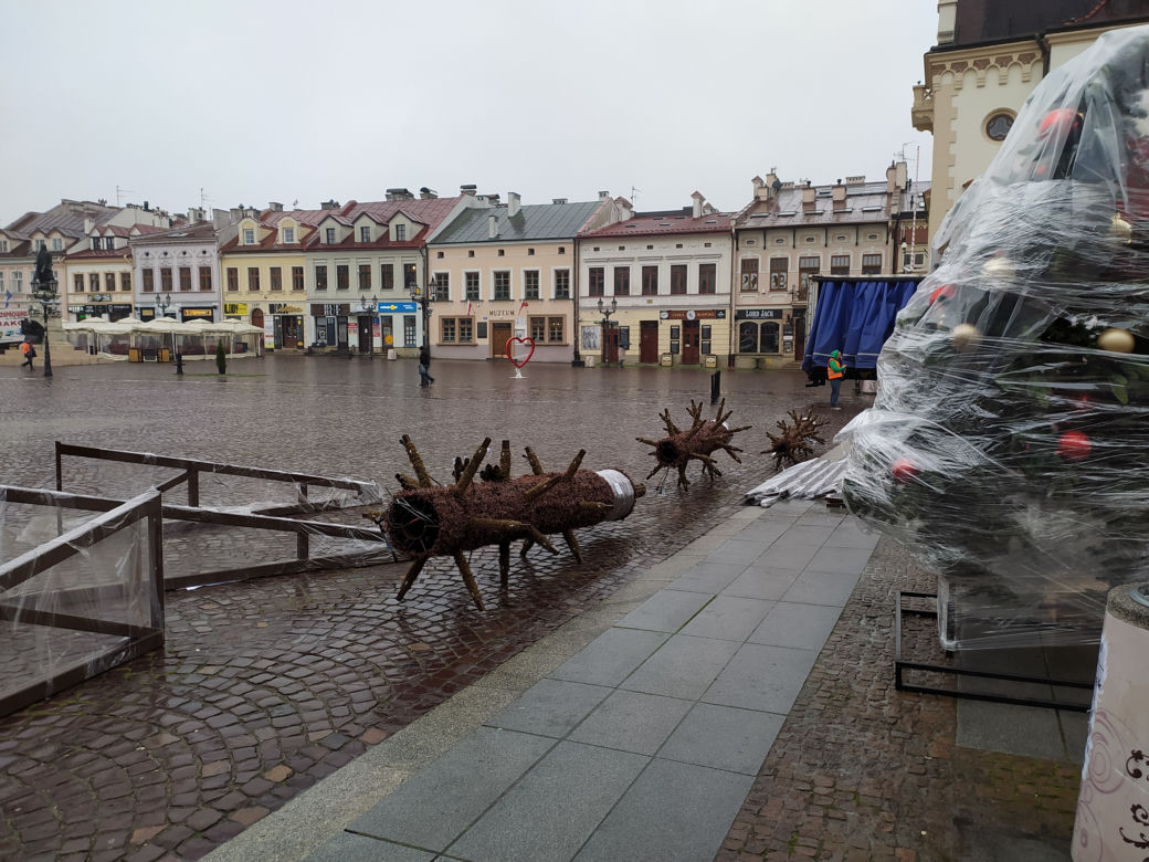 Stawiają świąteczną choinkę na Rynku [ZDJĘCIA]