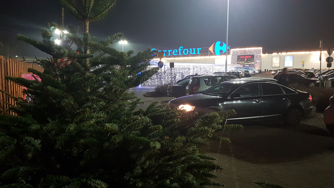 Gdzie kupić choinkę w Toruniu?