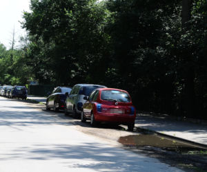 Wandal zdewastował ponad 20 aut
