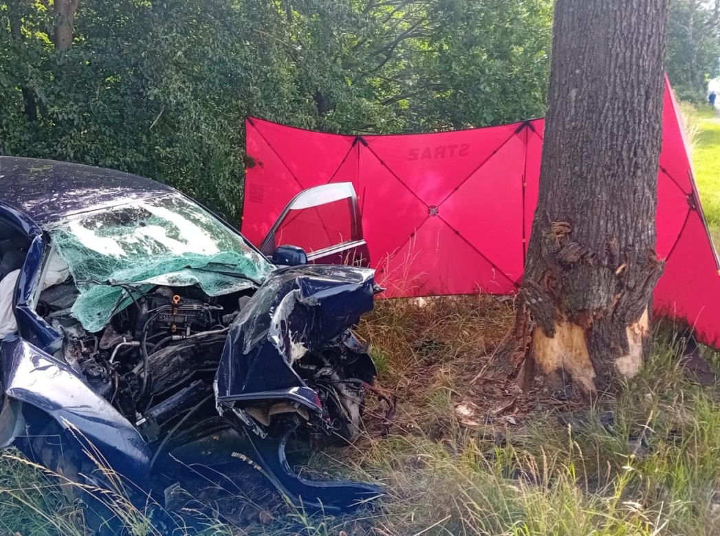 Volkswagen roztrzaskał się na drzewie