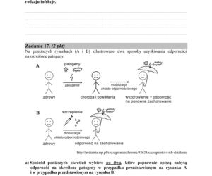 Matura 2018 z biologii. Poziom podstawowy - arkusze CKE