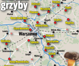 W weekend ruszaj na grzybobranie