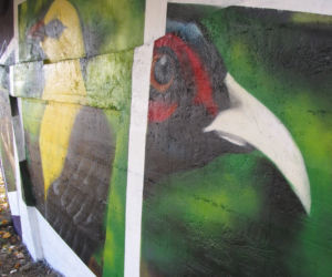 W rejonie Lisiej Góry w Rzeszowie powstał nowy mural. Jest piękny!
