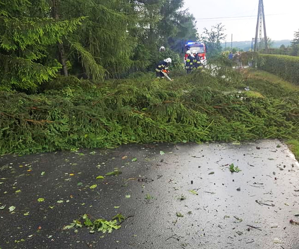Znowu będzie trzeba uważać na spadające konary - nadchodzą wichury