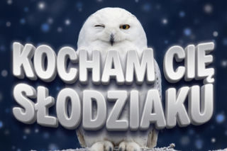 Śmieszne gify walentynkowe dla singli - dystans, humor i self-love