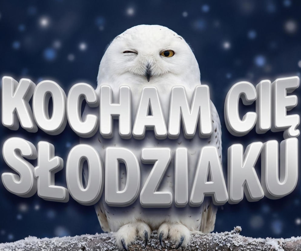 Śmieszne gify walentynkowe dla singli - dystans, humor i self-love