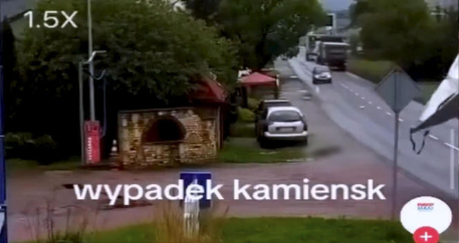 Pas od tira uderzył kobietę prosto w głowę. Wszystko widać na nagraniu