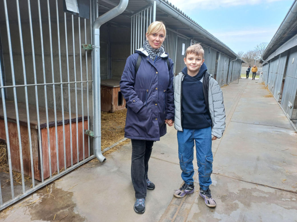 Przybyło psów w schronisku w Henrykowie koło Leszna. "Ilość zatrważająca"