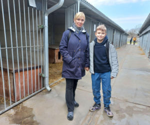 Przybyło psów w schronisku w Henrykowie koło Leszna. Ilość zatrważająca