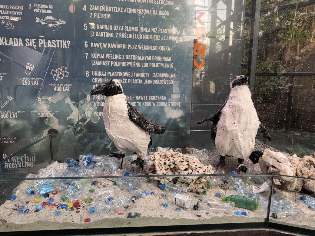 Czy warto jechać do ZOO Wrocław zimą?