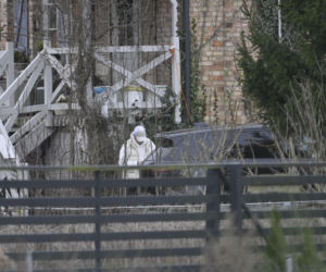 Prawdziwe paparazzi Rozenków nad morzem