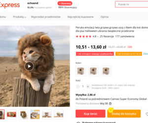 Najdziwniejsze rzeczy, jakie można kupić na AliExpress