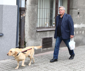 Siedzę jak mysz pod miotłą, a wirus mnie dopadł