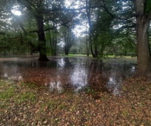 Wrocław: NIEBEZPIECZNIE w Parku Wschodnim! Oława wystąpiła z brzegów! WIELKIE rozlewisko! 