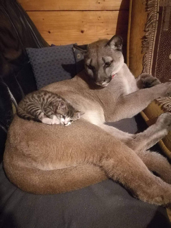 Tam czuje się najlepiej!
