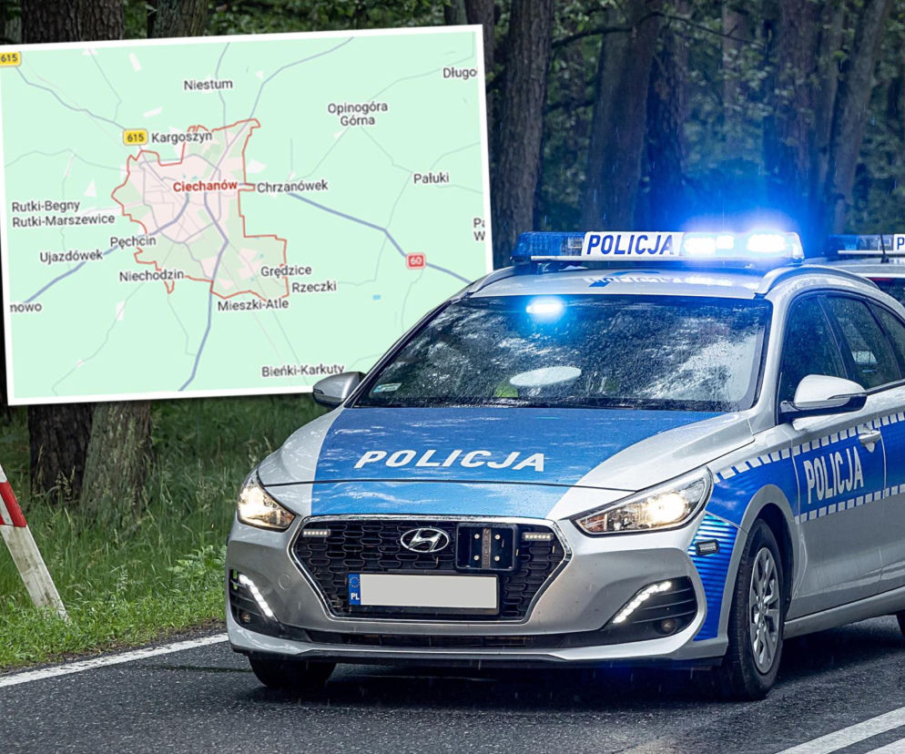 Spacer z psem zamienił się w koszmar. Znaleźli ludzką dłoń, niedługo potem zwłoki