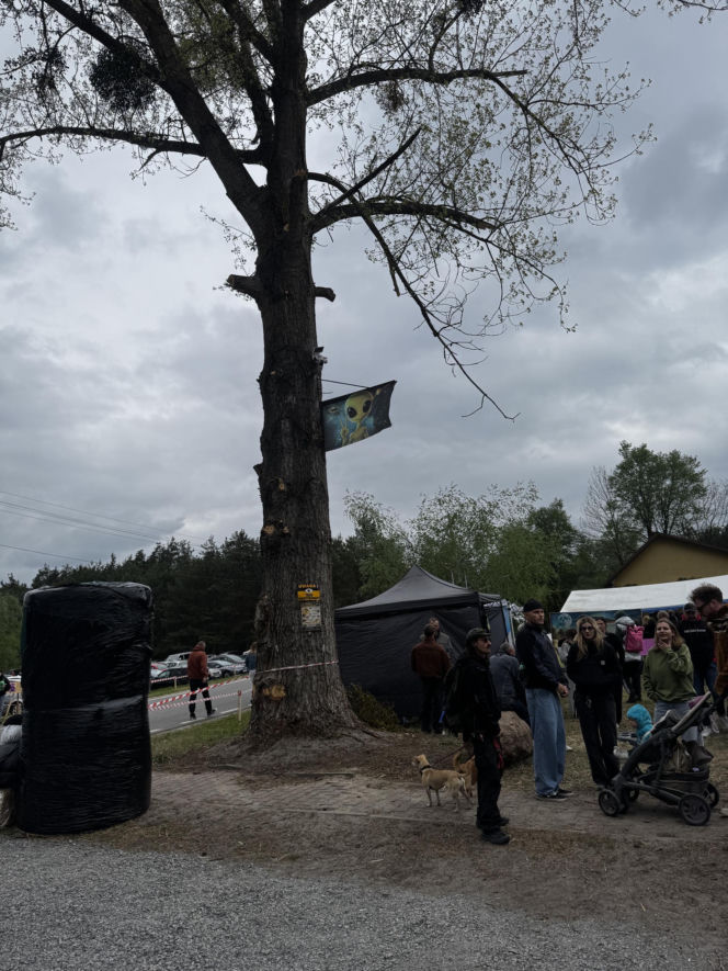 Piknik Ufologiczny