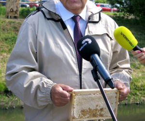 Pierwsze w 2022 r. miodobranie w pasiece miejskiej w Białymstoku