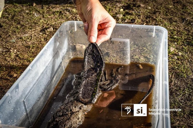 Odkrycia archeologiczne przy ul. Zbożowej