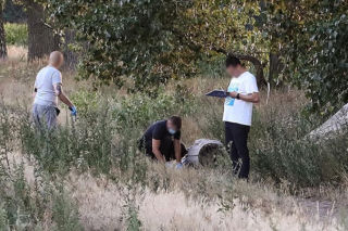 Porwanie 14-latki z Poznania. Sprawcy ogolili ją na łyso i wykorzystali. Szczegóły mrożą krew w żyłach
