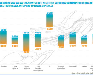 PORTFEL STUDENTA wynagrodzenia na stanowisku niskiego szczebla