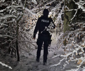 Zgubili się w lesie pod Sulechowem. Minuty dzieliły ich od tragedii!