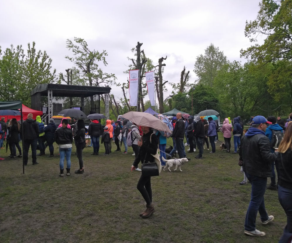 Piknik Przyjaciół Schroniska