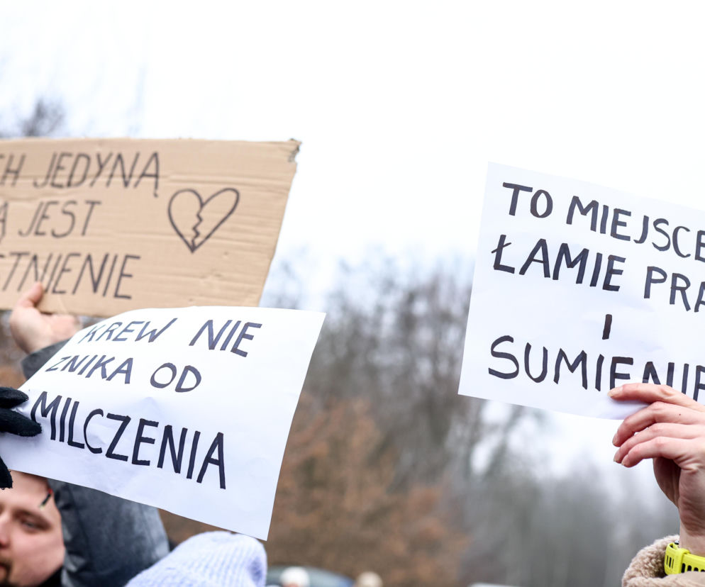 Sprawa schroniska w Bytomiu wywołała poruszenie w rządzie. Czekamy do godz. 12
