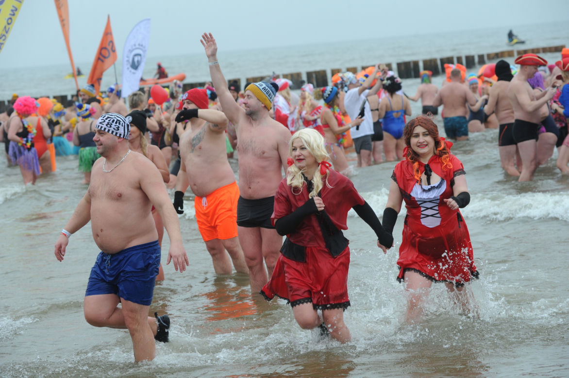 Tysiące morsów wykąpało się w Bałtyku