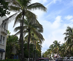 Krzysztof Gojdź bierze rozwód w Miami