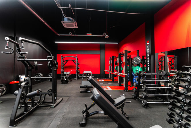 Xtreme Fitness Gyms i Xtreme KiDS otwarte w CH Plejada w Sosnowcu. Ruch dla całej rodziny pod jednym dachem