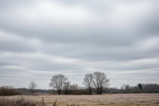 Zimno, ale sucho w Mielcu 03.12.2025! Czy nadchodzą mrozy?
