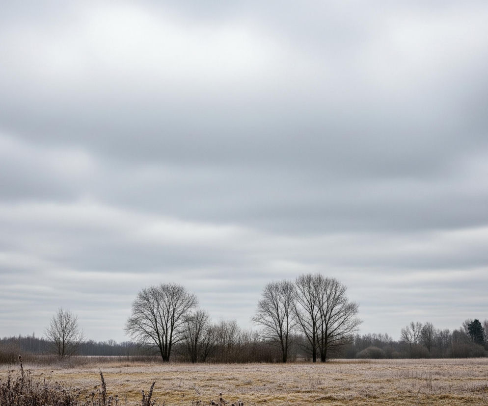 Rozległe, płaskie pole, pokryte suchą, żółtobrązową trawą, zajmuje dolną część kadru. Na trawie widać liczne białe osady szronu. W tle, na horyzoncie, rozciąga się pas lasu i krzewów o nagich gałęziach. Przed lasem, na środku pola, wyróżniają się dwa większe, bezlistne drzewa o rozłożystych koronach, obok nich znajdują się mniejsze, krzaczaste formacje. Pochmurne, jasnoszare niebo, z widocznymi warstwami chmur, dominuje nad krajobrazem, zajmując ponad połowę obrazu.